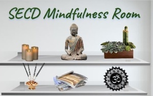 Social and Emotional Website Launches