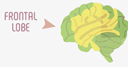 Get Smart About Drugs